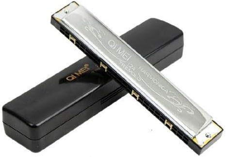 Harmonica With 24 Holes and 48 Reeds